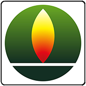 logo170_n